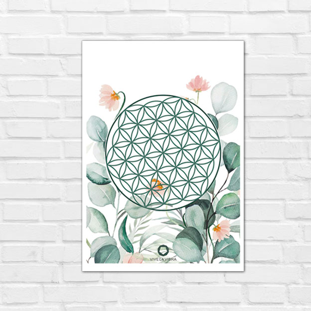 flores-acuarela-pared Lámina flores acuarela con la flor de la vida, geometría sagrada